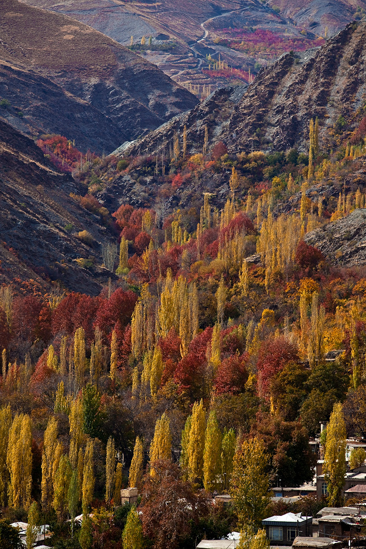 عکس: روستای دهبار 